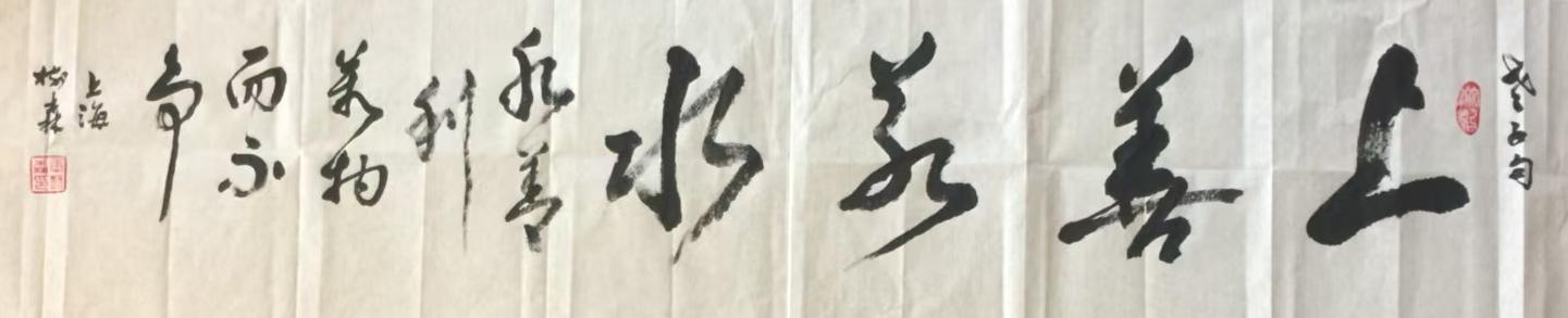 张树森(名誉院长)(图3)