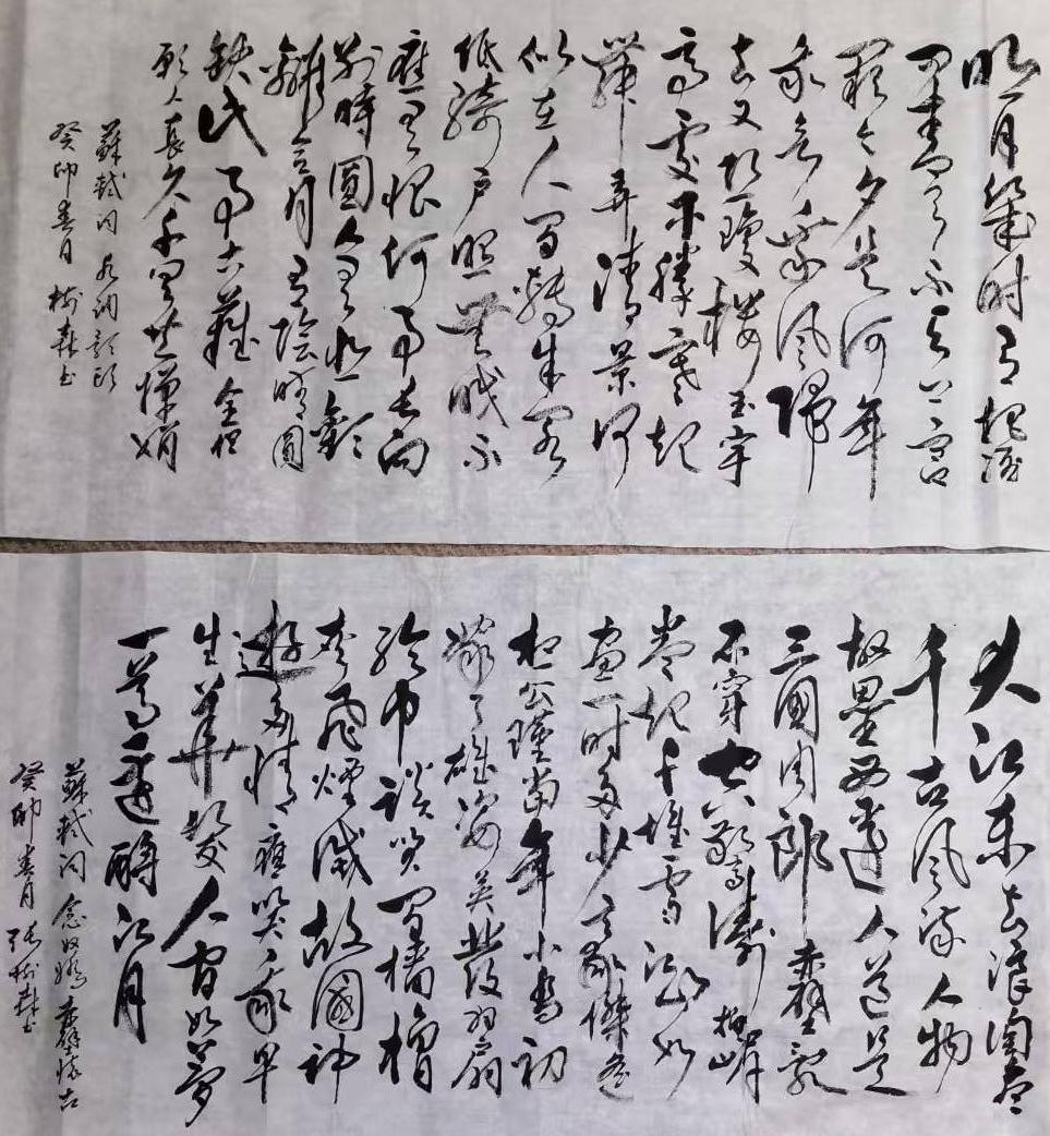 张树森(名誉院长)(图7)