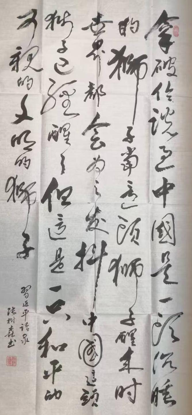 张树森(名誉院长)(图9)
